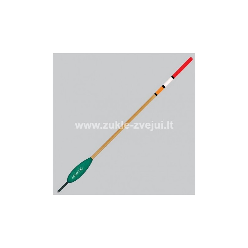 Plūdė Expert 203-31
